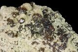 Translucent Sphalerite on Calcite, Pyrite and Chalcopyrite - Peru #141835-2